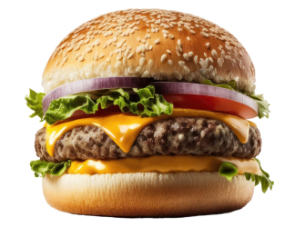 burger12